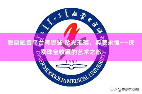 股票融资平台有哪些 珍光璀璨，典藏永恒——探索珠宝收藏的艺术之旅