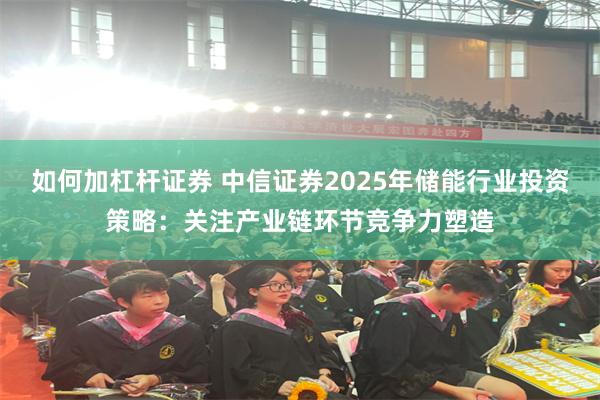 如何加杠杆证券 中信证券2025年储能行业投资策略：关注产业链环节竞争力塑造