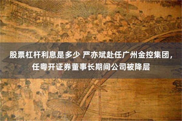 股票杠杆利息是多少 严亦斌赴任广州金控集团，任粤开证券董事长期间公司被降层