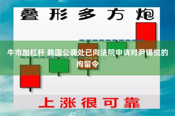 牛市加杠杆 韩国公调处已向法院申请对尹锡悦的拘留令