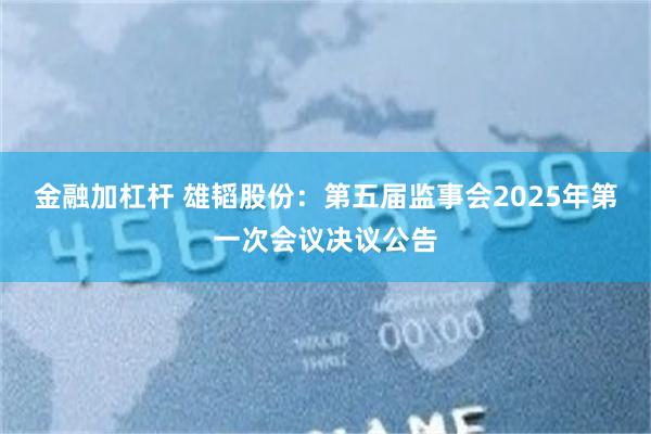 金融加杠杆 雄韬股份：第五届监事会2025年第一次会议决议公告