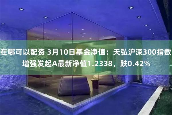 在哪可以配资 3月10日基金净值：天弘沪深300指数增强发起A最新净值1.2338，跌0.42%