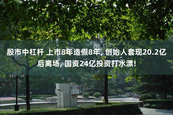 股市中杠杆 上市8年造假8年, 创始人套现20.2亿后离场, 国资24亿投资打水漂!